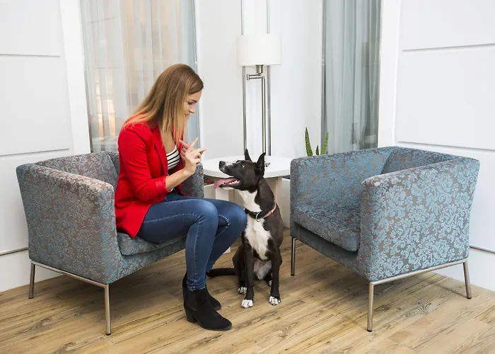 Otel Atrium Hotel By Mellow Mood Hotels